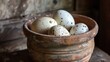 Four eggs of the grey partridge in a clay pot