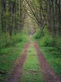 Fototapeta Miasto - Leśna ścieżka wczesną wiosną w Parku Narodowym - Kampinoski Park Narodowy