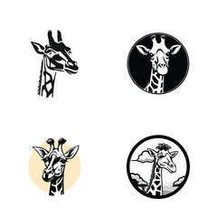 Sticker - Collection of giraffe logos in flat black isolated on white background