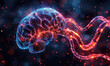 An illustration of a human brain with glowing red and blue synapses on a dark blue background.