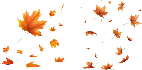 Poster - Autumn forest maple leaf in september season