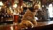 © ventilua - cats sitting in a pub