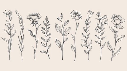 Poster - A set of hand drawn botanical elements. Foliage, branches, flowers, roses, lilies in line art. Minimal style blossom illustration design for logos, wedding invitations, and other decor.