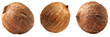 Set of Coconut isolated on a transparent background