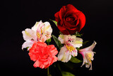 Fototapeta  - Colorful Floral Arrangement isolated