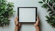 Hand holding a tablet with a white screen, flat view on white background 