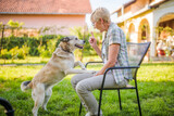 Fototapeta Na drzwi - Senior woman scolding her husky dog while they spending time in yard.