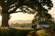 Golden Sunset over Serene Countryside with Picturesque Cottage