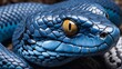 Detailed view of a blue viper snake's facial features.