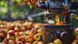 A close-up of a hand-cranked apple cider press squeezing the last drops of golden liquid from a mound of ripe apples.