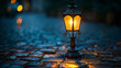 Street lamp on cobblestone path at night