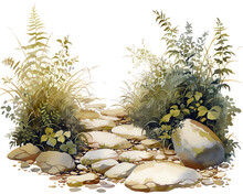 Dry River Bed With Natural Stones And Ferns Lining The Edges, Shaded Woodland Area, Watercolor, Isolate.