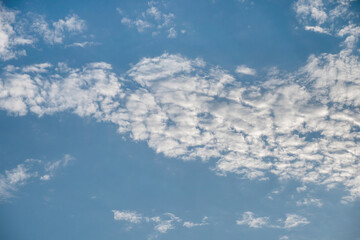 Wall Mural - blue sky with white louds