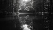 Black and white photography of river water reflection and forest, sunny days. Landscapes photography