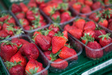 Fototapeta Sypialnia - Closeup of organic strawberries at the market