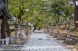 a path in a japanese shrine lined with stone lanterns and pine trees