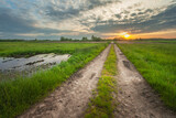 Fototapeta Pomosty - View of a dirt road through green wet meadows and sunset sky