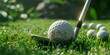 Golfer putting golf ball morning time close up green grass file sunset