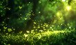 beautiful summer in nature with sunshine and bokeh hearts