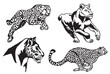 Graphical set of  lioness and leopard on white background, ink-pen illustration,tattoo design
