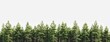 row of trees copy space, design for nature themed background poster banner