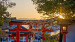 a red shrine in the evening sunlight with cherry blossoms and a view of the mountains of kyoto 