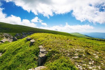 Wall Mural - green alpine hills and meadow of carpathians in dappled light. stones among the grass beneath a blue