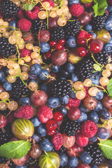 Wall Mural - Gooseberries, blueberries, mulberry, raspberries, white and red currants.