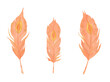Watercolor orange Phoenix Feathers, hand painted phoenix Feathers
