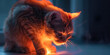 Feline Lower Urinary Tract Disease (FLUTD): The Urinary Issues and Painful Urination - Imagine a cat with highlighted urinary tract showing inflammation, experiencing urinary issues