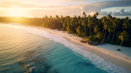 Beautiful panoramic aerial view of palm trees and sandy beach at sunset