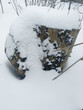 winter background: old snow-covered tree stump