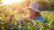 A woman joyfully picking plump blueberries from bushes in a sun-kissed field, epitomizing the pleasures of berry picking.