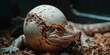 Reptile Egg Binding: The Swollen Abdomen and Lethargy - Imagine a reptile with highlighted reproductive system showing egg retention, experiencing swollen abdomen and lethargy