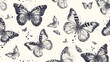 Butterflies hand drawn illustration, on a clean white background