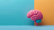 Cerebro humano con colores sobre fondo de color liso