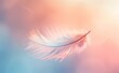   A tight shot of a pristine white feather against a backdrop of pink and blue hues, with a softly blurred sky in the distance