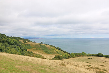 Poster - Coast of South Devon above Maidencombe