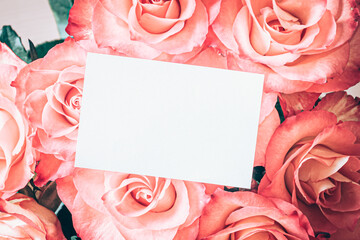 Wall Mural - pink roses background with white card, copy space