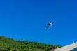 gaivota voando no céu