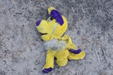 Fototapeta Desenie - one dirty old torn yellow plush toy dog lies on the ground 