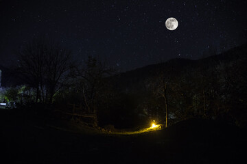 Wall Mural - mountain road through the forest on a full moon night. scenic night landscape of country road at nig