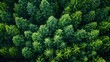 Connecting Carbon Offset Buyers with Verified Global Projects Generative AI