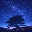 Breathtaking Time-Lapse of a Starry Sky Enveloping a Towering Tree
