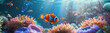 Clownfish in Harmony with Anemone