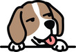 Funny beagle dog looking sideways cartoon, vector illustration