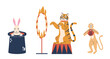 Cute Circus Animals, Monkey Juggler, Tiger Jumping Through Fire Ring And White Rabbit Sitting In Magician Hat