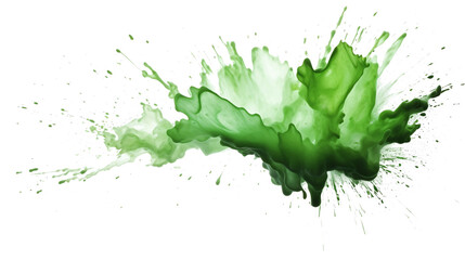 Poster - green simple paint brush strokes in watercolor isolated against transparent