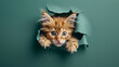 Playful Kitty: Curious Cat in Paper Hole. Generative AI