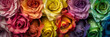 Background colorful roses